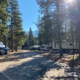 Review photo of Headwaters Campground at Flagg Ranch — John D. Rockefeller, Jr., Memorial Parkway by Amy & Stu B., September 15, 2022