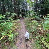 Review photo of Crooked Run Campground — Prince Gallitzin State Park by Aida K., September 15, 2022