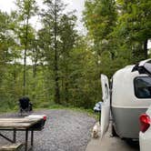Review photo of Crooked Run Campground — Prince Gallitzin State Park by Aida K., September 15, 2022
