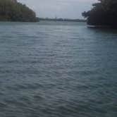 Review photo of Fort De Soto Campground by Kasey K., July 26, 2018