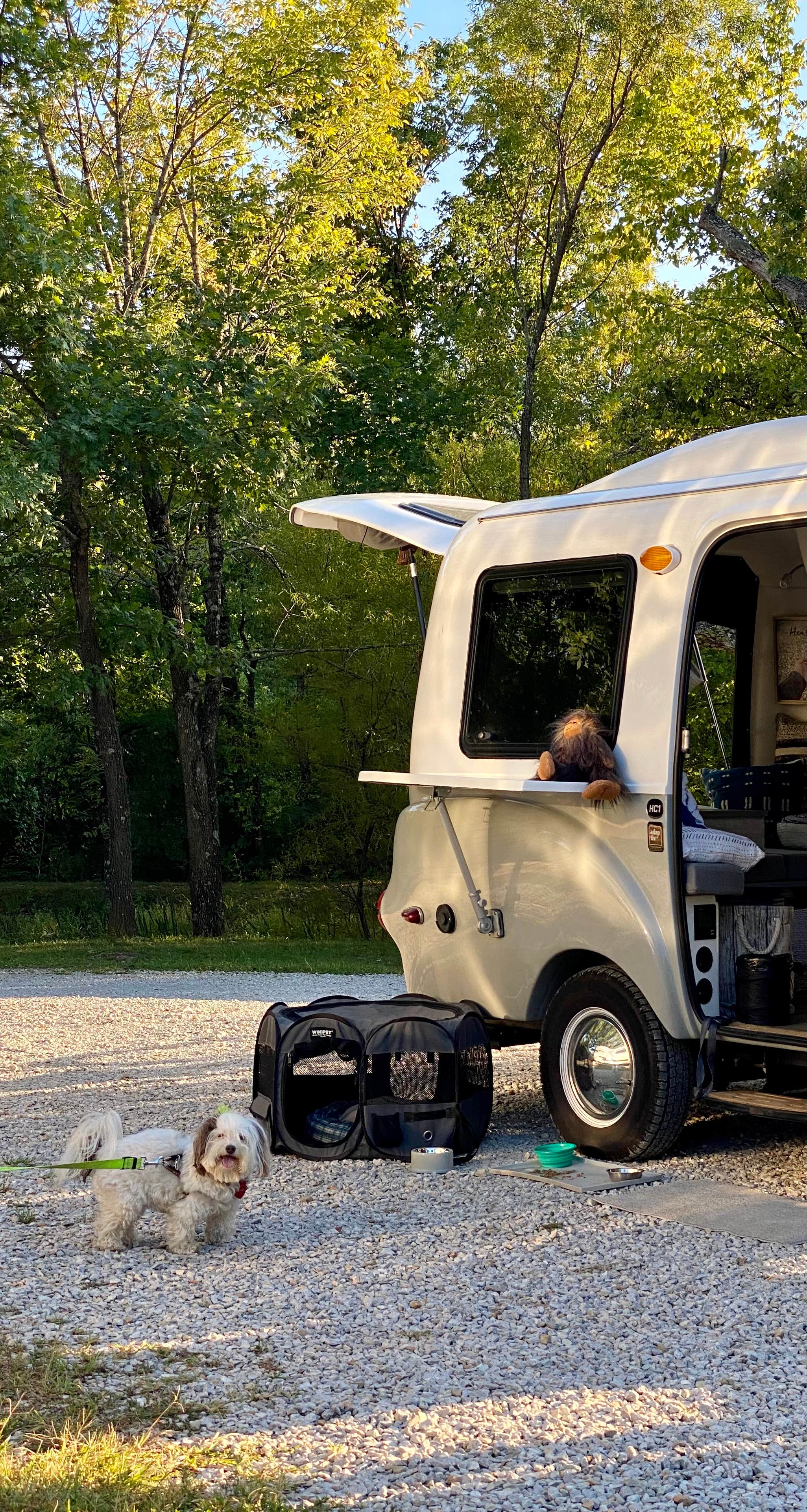 Aida K.'s photo of camping with pets at Lazy Day Campground near Columbia, MO