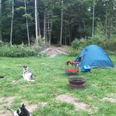 Review photo of Rip Van Winkle Campgrounds by Chuck O., September 15, 2022