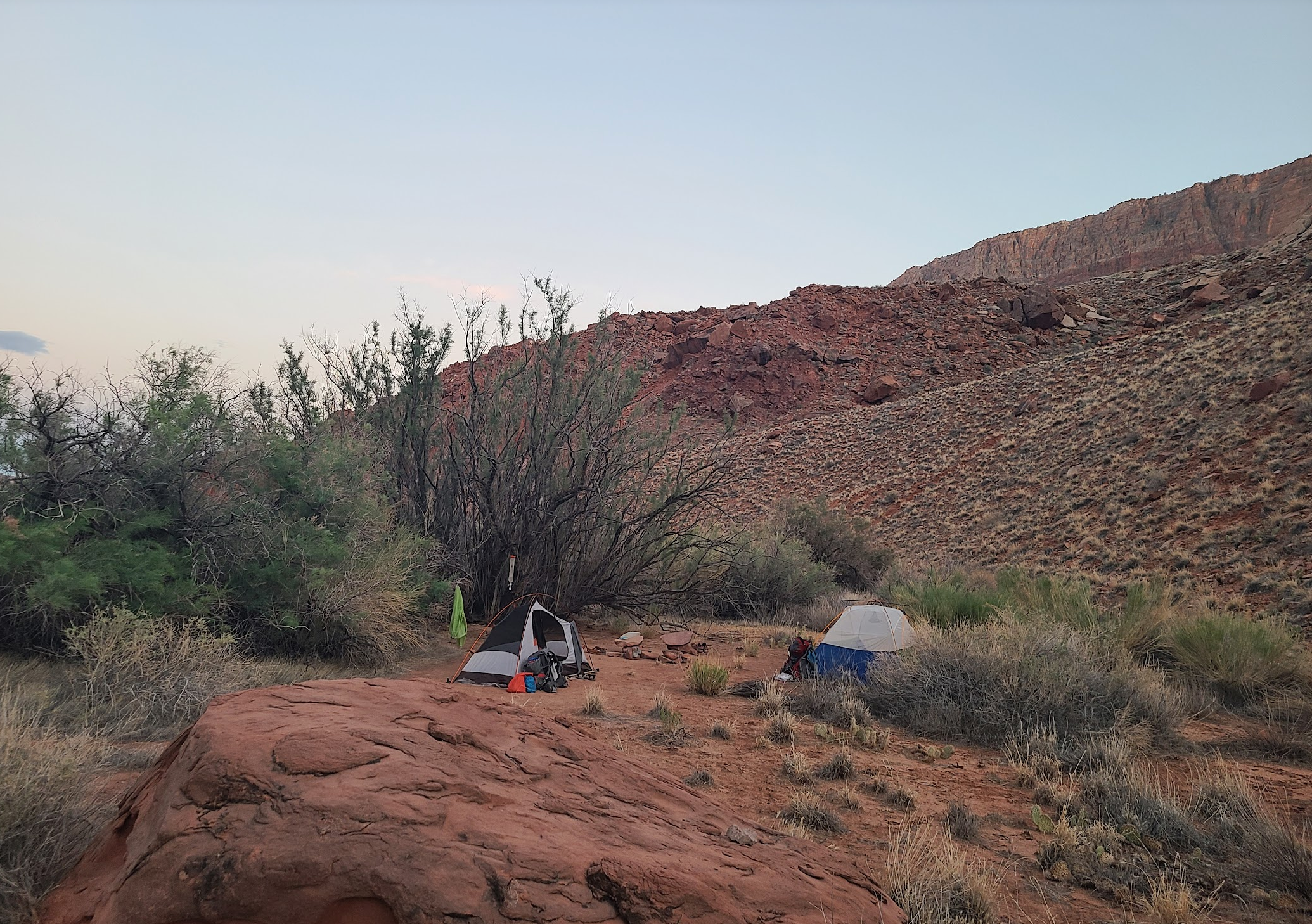 Camper submitted image from Paria Canyon Wilderness - Final Designated Campsite Before Lee's Ferry - 1