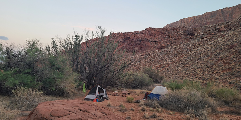 Camper submitted image from Paria Canyon Wilderness - Final Designated Campsite Before Lee's Ferry