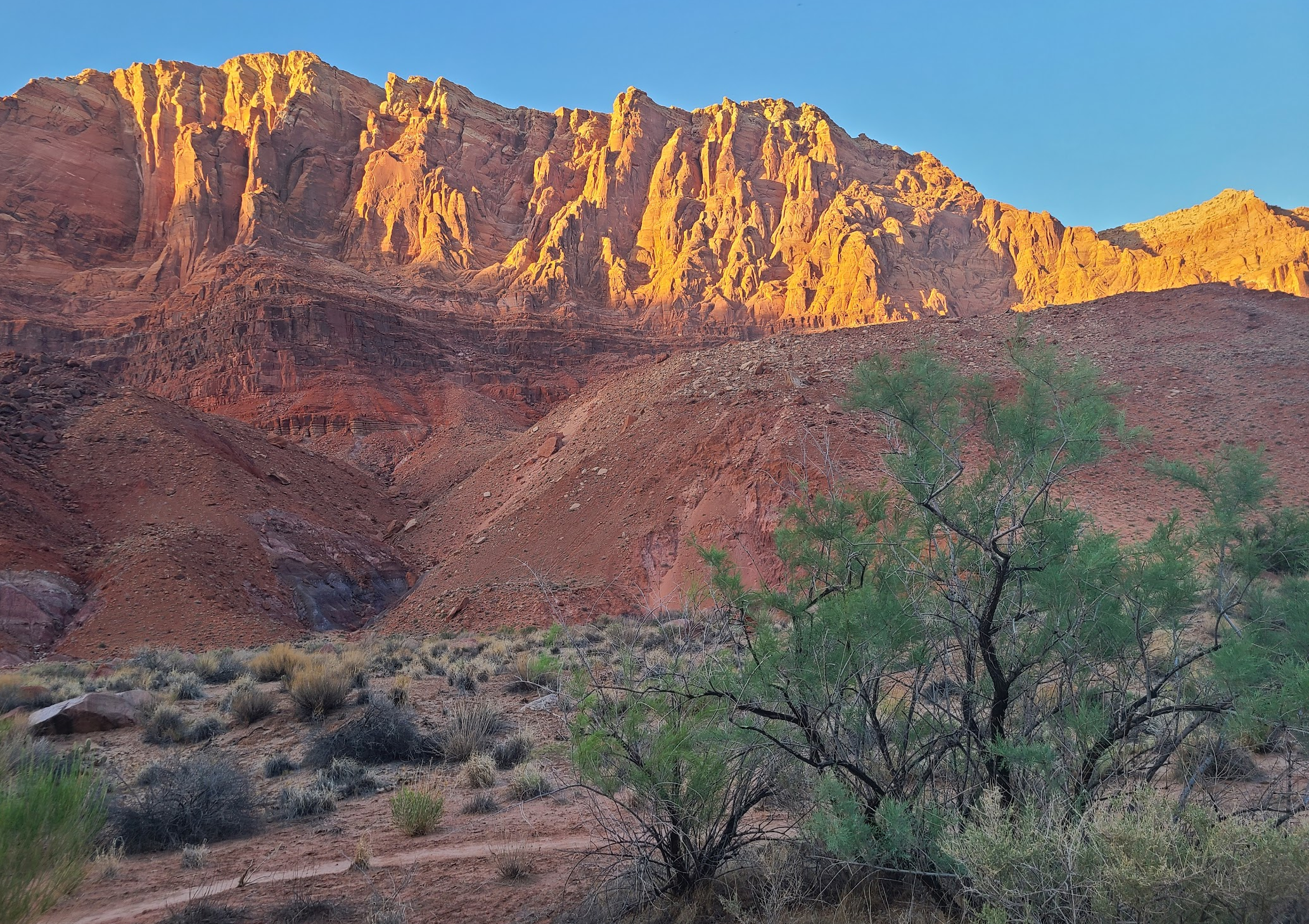 Camper-submitted photo at Paria Canyon Wilderness - Final Designated Campsite Before Lee's Ferry near Page, AZ