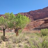 Review photo of Paria Canyon Wilderness - Final Designated Campsite Before Lee's Ferry by Amy G., September 15, 2022