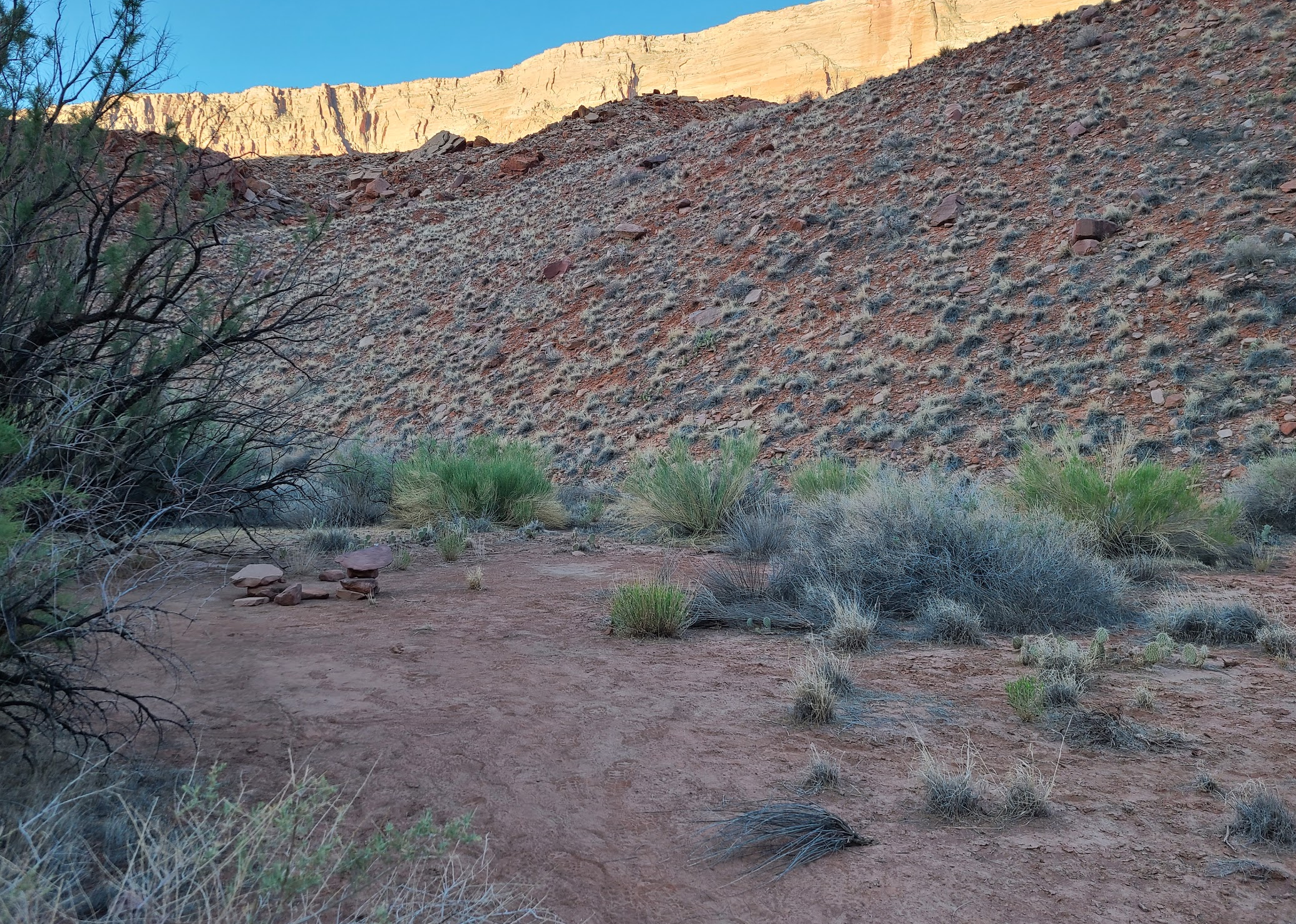 Camper submitted image from Paria Canyon Wilderness - Final Designated Campsite Before Lee's Ferry - 4