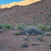 Review photo of Paria Canyon Wilderness - Final Designated Campsite Before Lee's Ferry by Amy G., September 15, 2022