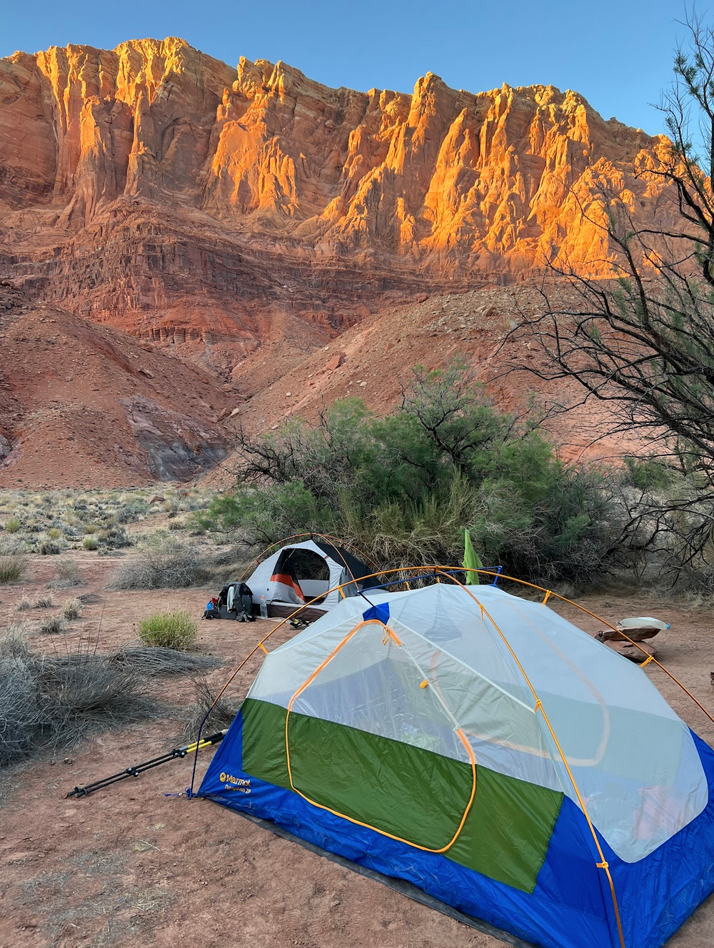 Camper submitted image from Paria Canyon Wilderness - Final Designated Campsite Before Lee's Ferry - 5