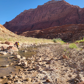Review photo of Paria Canyon Wilderness - Final Designated Campsite Before Lee's Ferry by Amy G., September 15, 2022