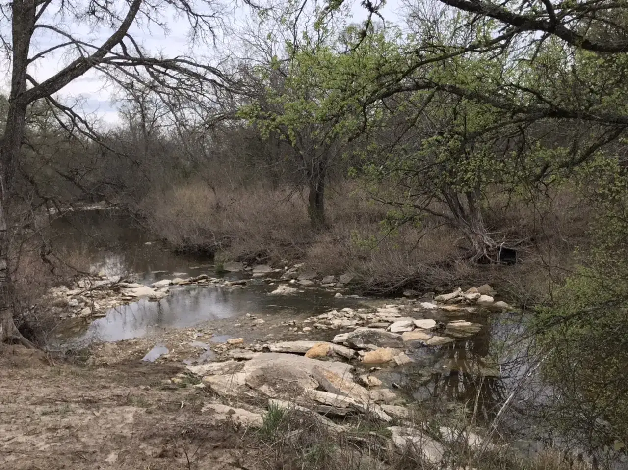 Camper-submitted photo at Cabin on the Creek.Hico near Glen Rose, TX