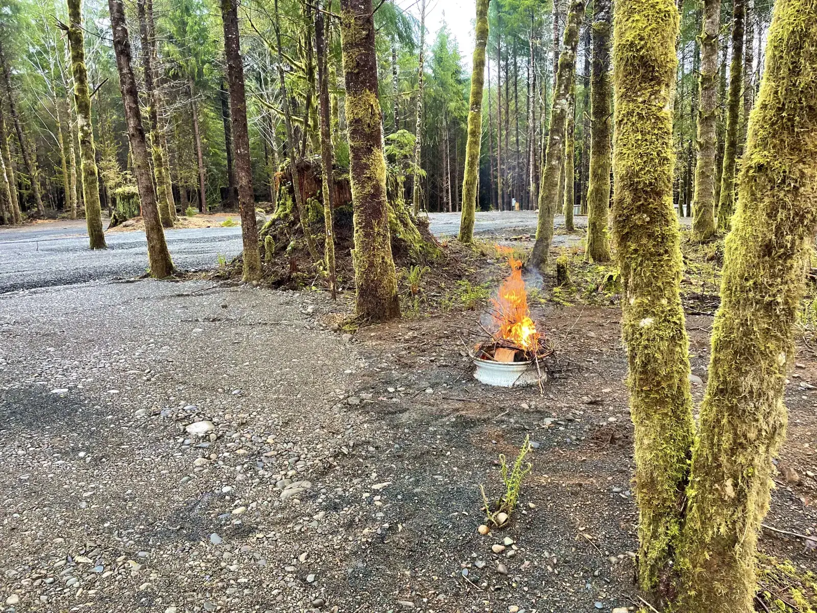 Camper-submitted photo at Olympic Adventure Campground near La Push, WA