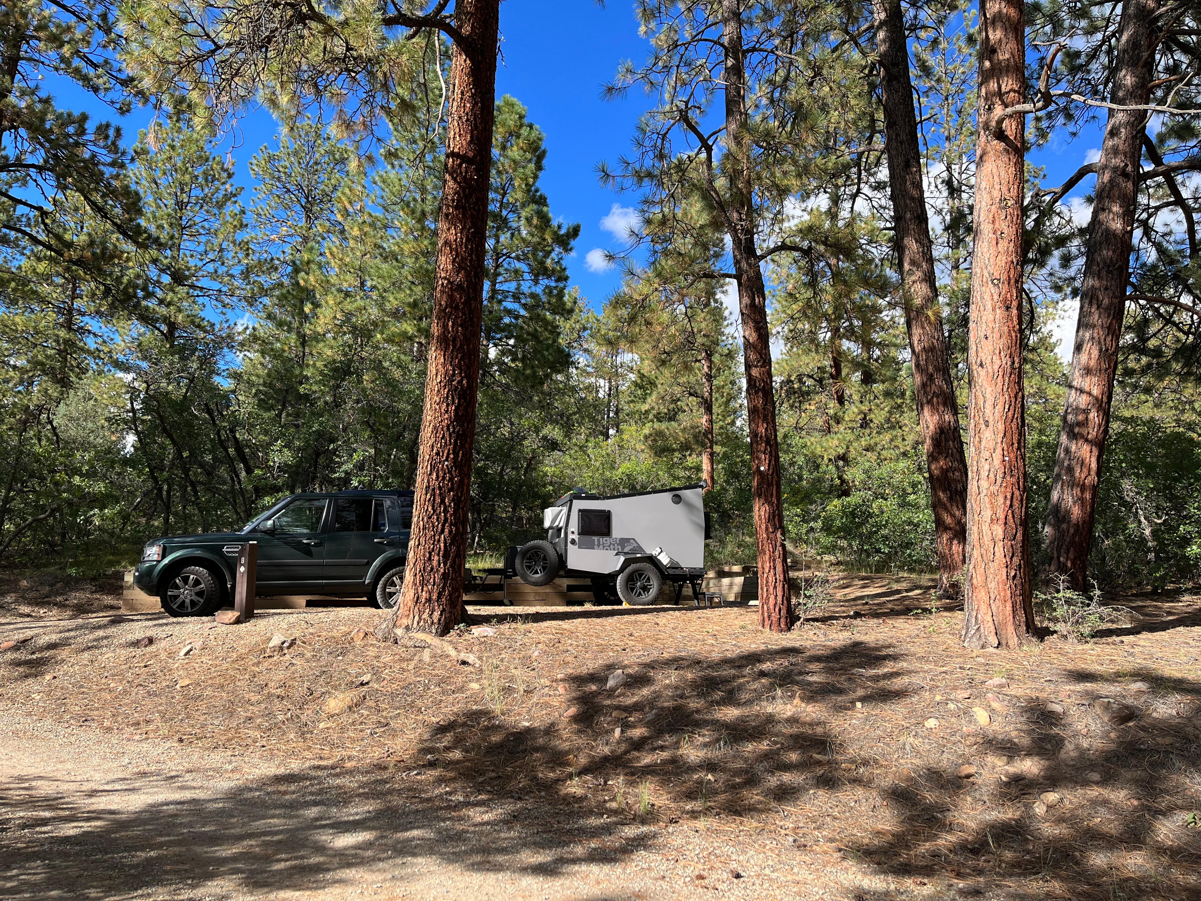 Camper submitted image from Target Tree Campground - 1