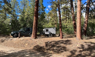 Camping near Echo Basin Cabin and RV Resort: Target Tree Campground, Mancos, Colorado