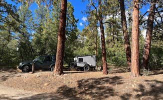 David R.'s photo at Target Tree Campground near Mancos, CO