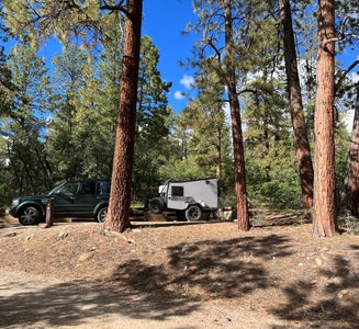 Camper-submitted photo from Target Tree Campground