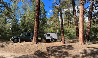 Camping near Coyote Outfitters: Target Tree Campground, Mancos, Colorado