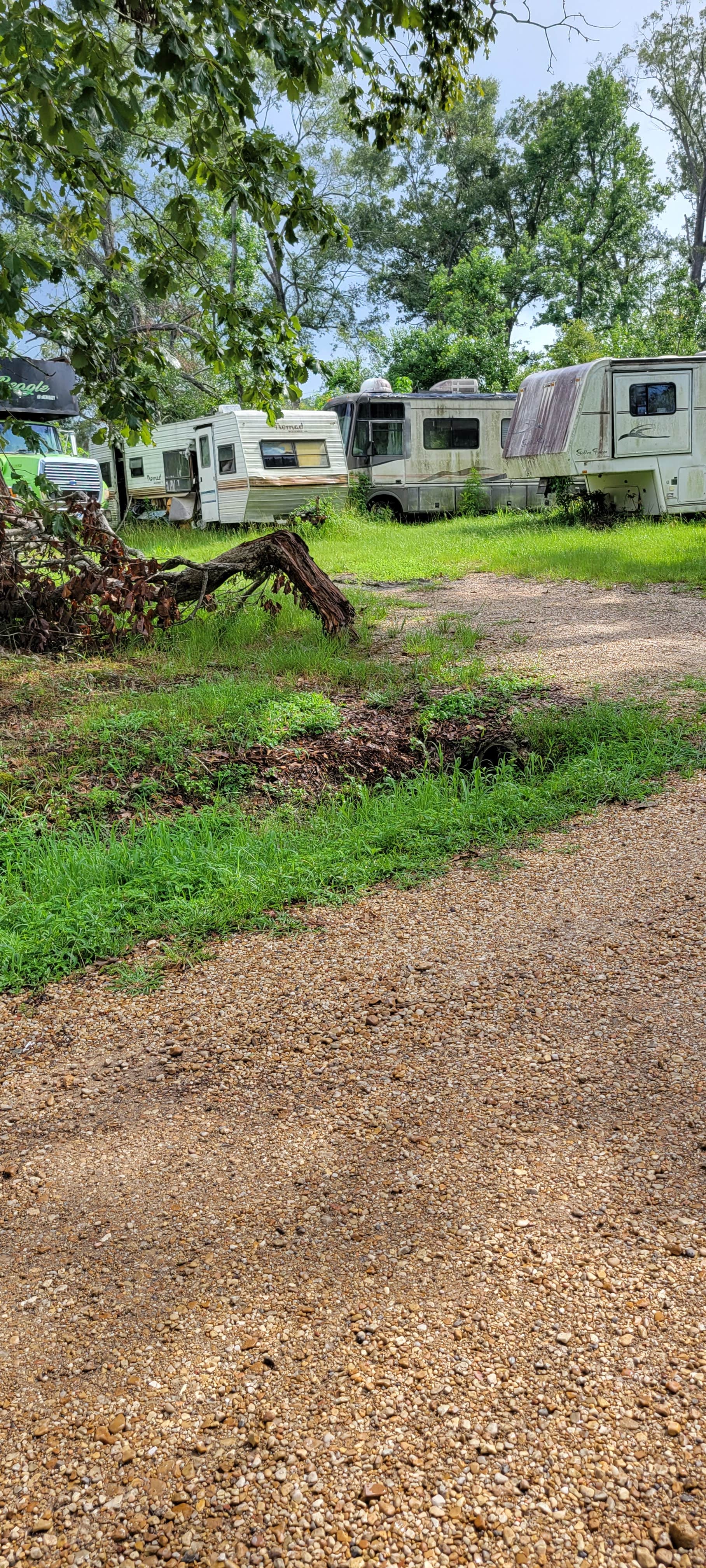 Camping near Indian Creek Campground: Punkin Park Campground, Springfield, Louisiana