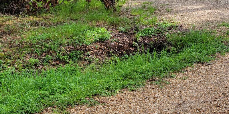 Camper submitted image from Punkin Park Campground