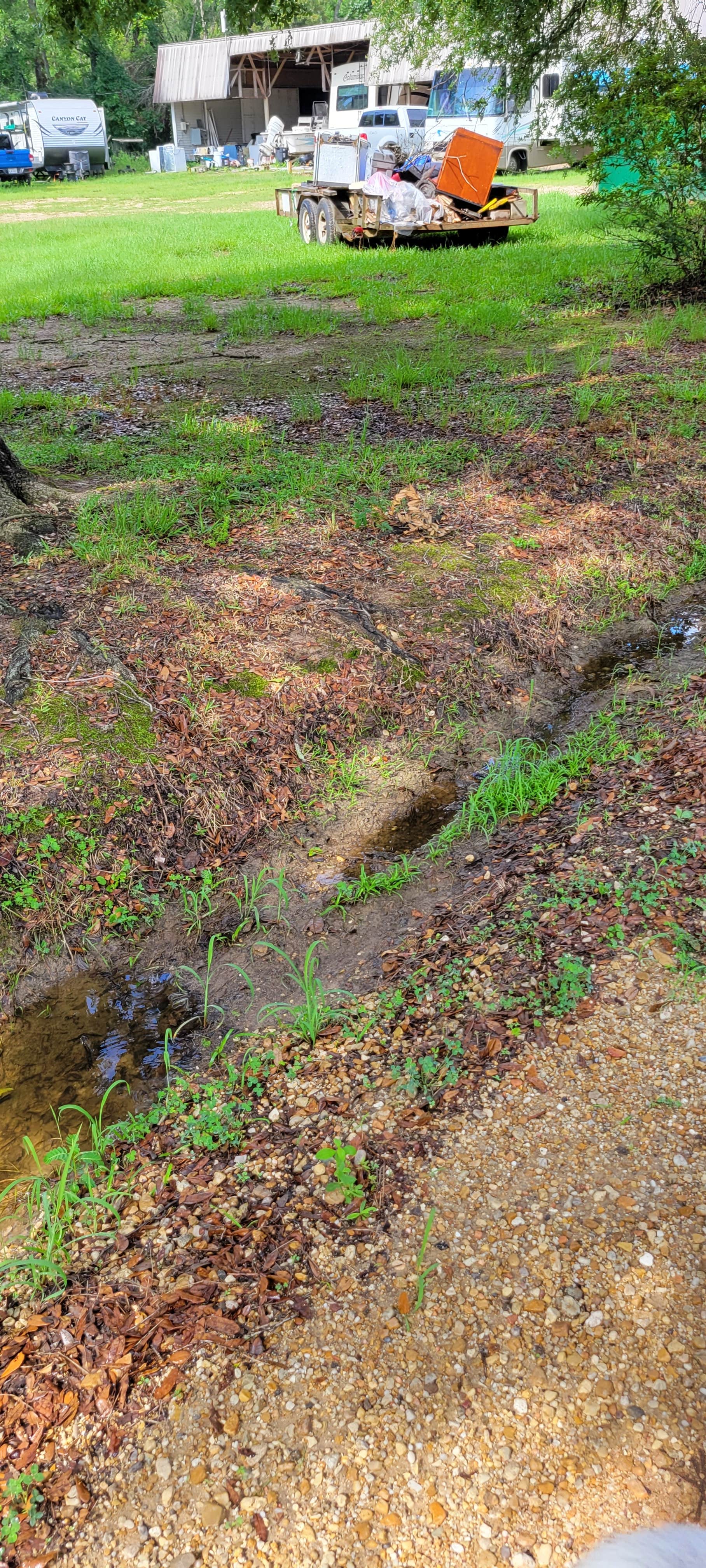 Camper-submitted photo at Punkin Park Campground near Springfield, LA