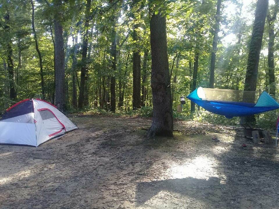 Camper submitted image from Zaleski State Forest - 5