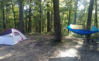 Kasey K.'s photo of tent camping at Zaleski State Forest near Lithopolis, OH