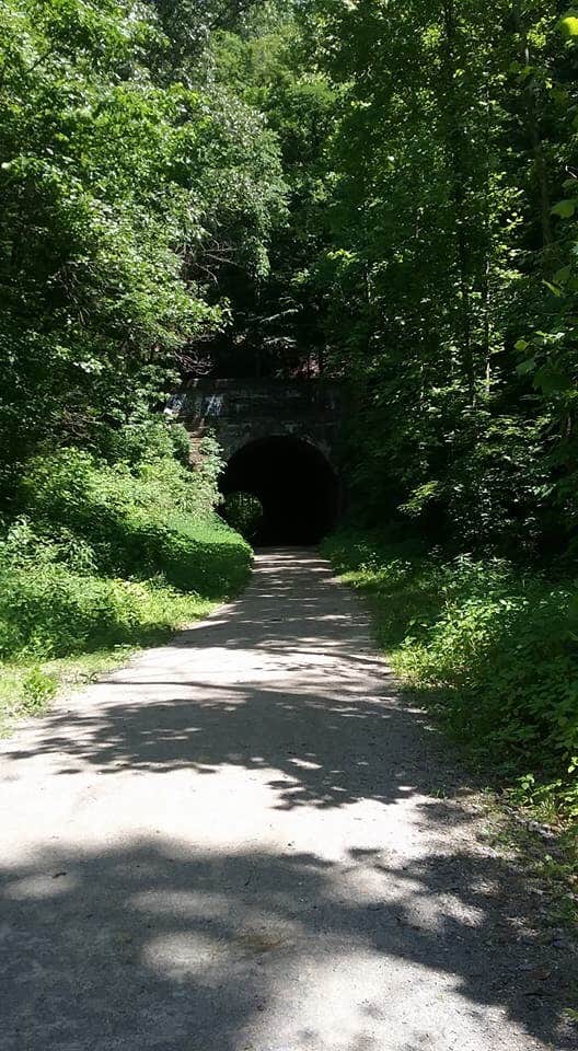 Camper-submitted photo at Zaleski State Forest near Geneva, OH