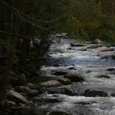 Review photo of Elkmont Campground — Great Smoky Mountains National Park by Kasey K., July 26, 2018