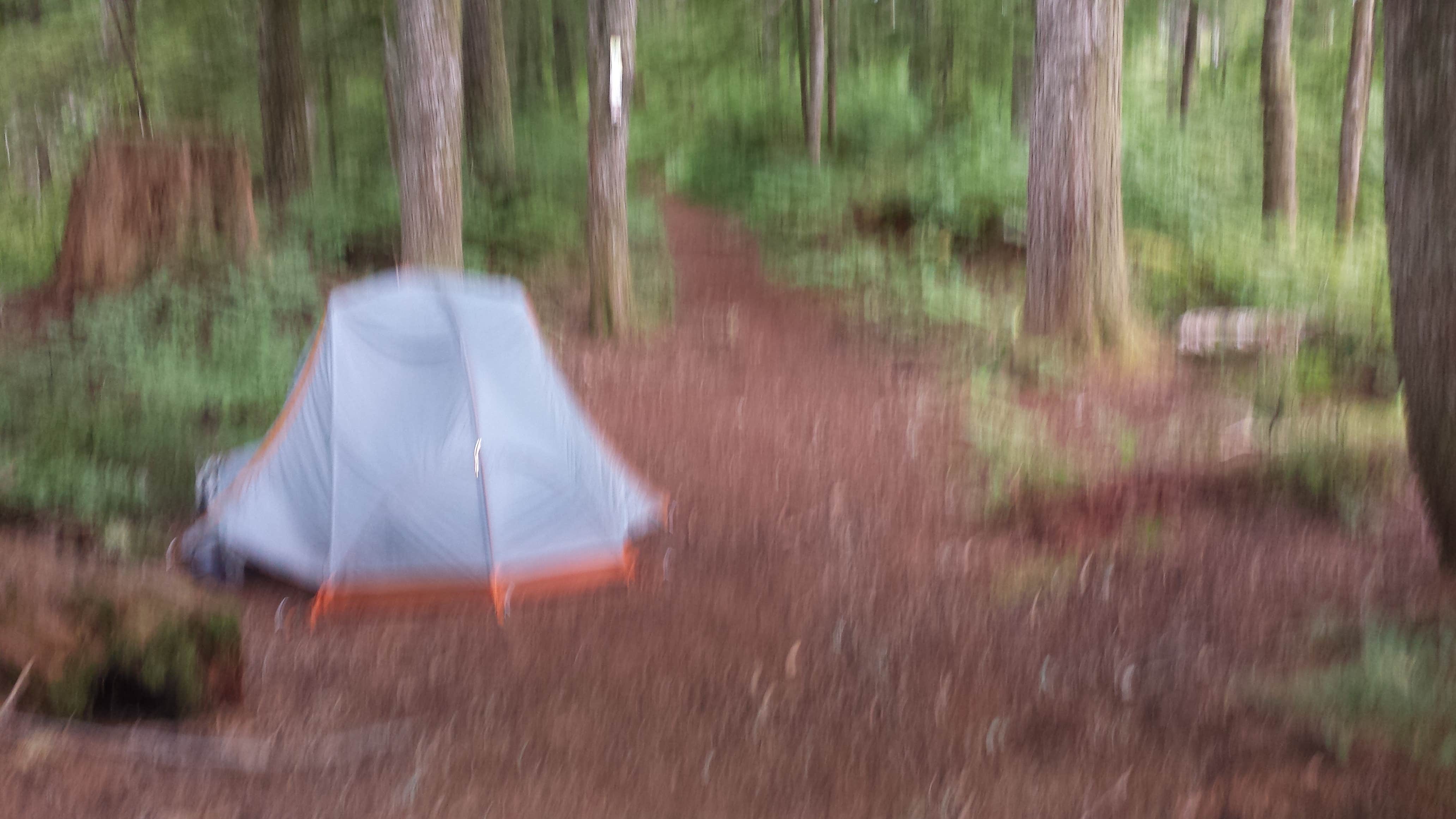 Raphaela H.'s photo of a dispersed camping area at Snag Creek Trailhead Dispersed near Hillsboro, OR