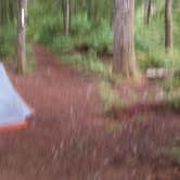 Review photo of Snag Creek Trailhead Dispersed by Raphaela H., July 27, 2016