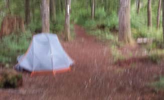 Raphaela H.'s photo of a dispersed camping area at Snag Creek Trailhead Dispersed near Wilsonville, OR