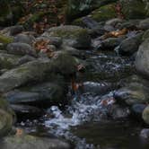 Review photo of Elkmont Campground — Great Smoky Mountains National Park by Kasey K., July 26, 2018