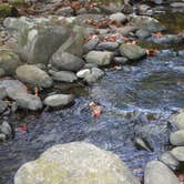 Review photo of Elkmont Campground — Great Smoky Mountains National Park by Kasey K., July 26, 2018