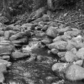 Review photo of Elkmont Campground — Great Smoky Mountains National Park by Kasey K., July 26, 2018