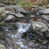 Review photo of Elkmont Campground — Great Smoky Mountains National Park by Kasey K., July 26, 2018