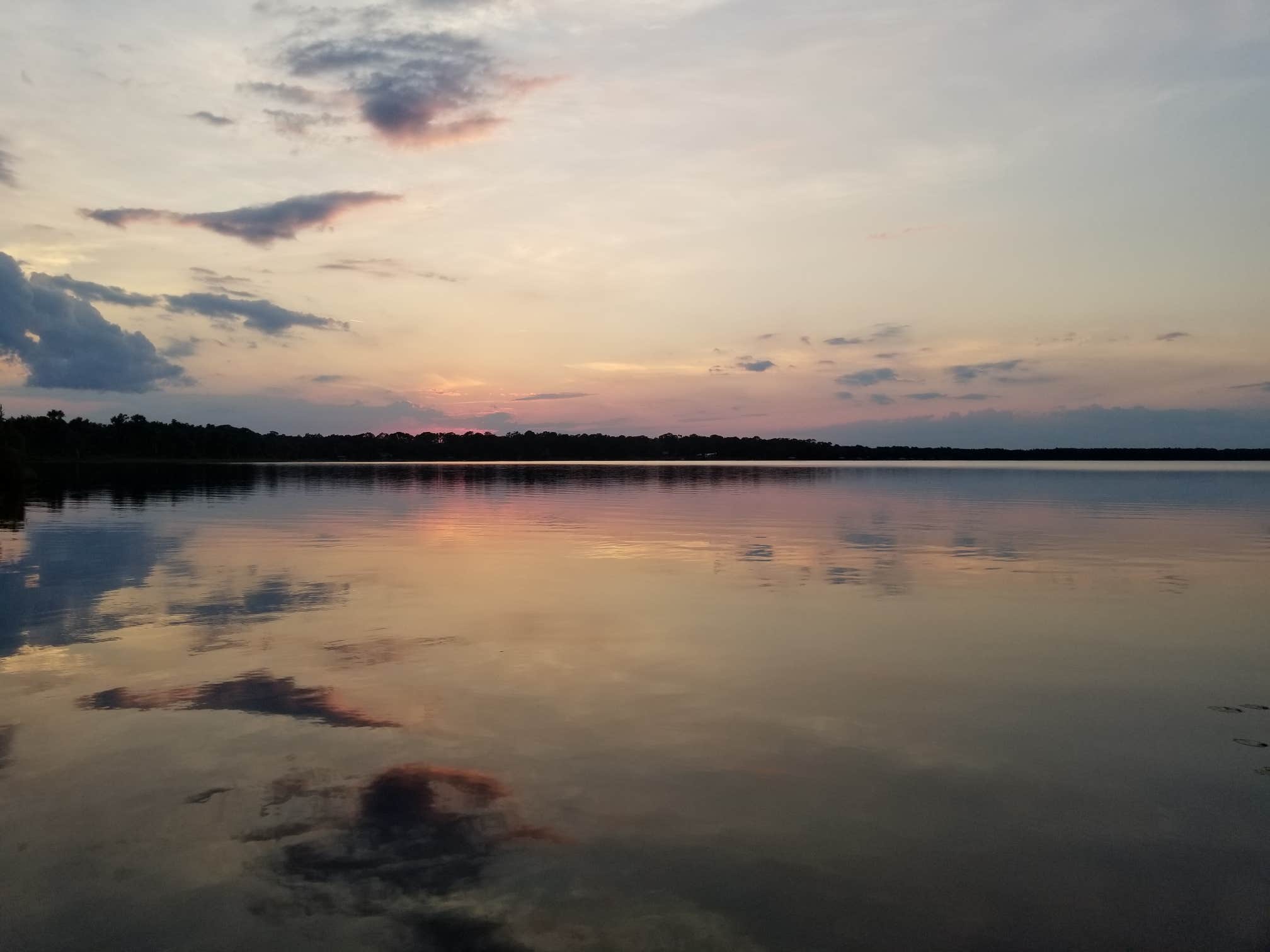 View All