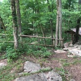Review photo of Cedars of Lebanon State Park Campground by Shelly S., July 26, 2018
