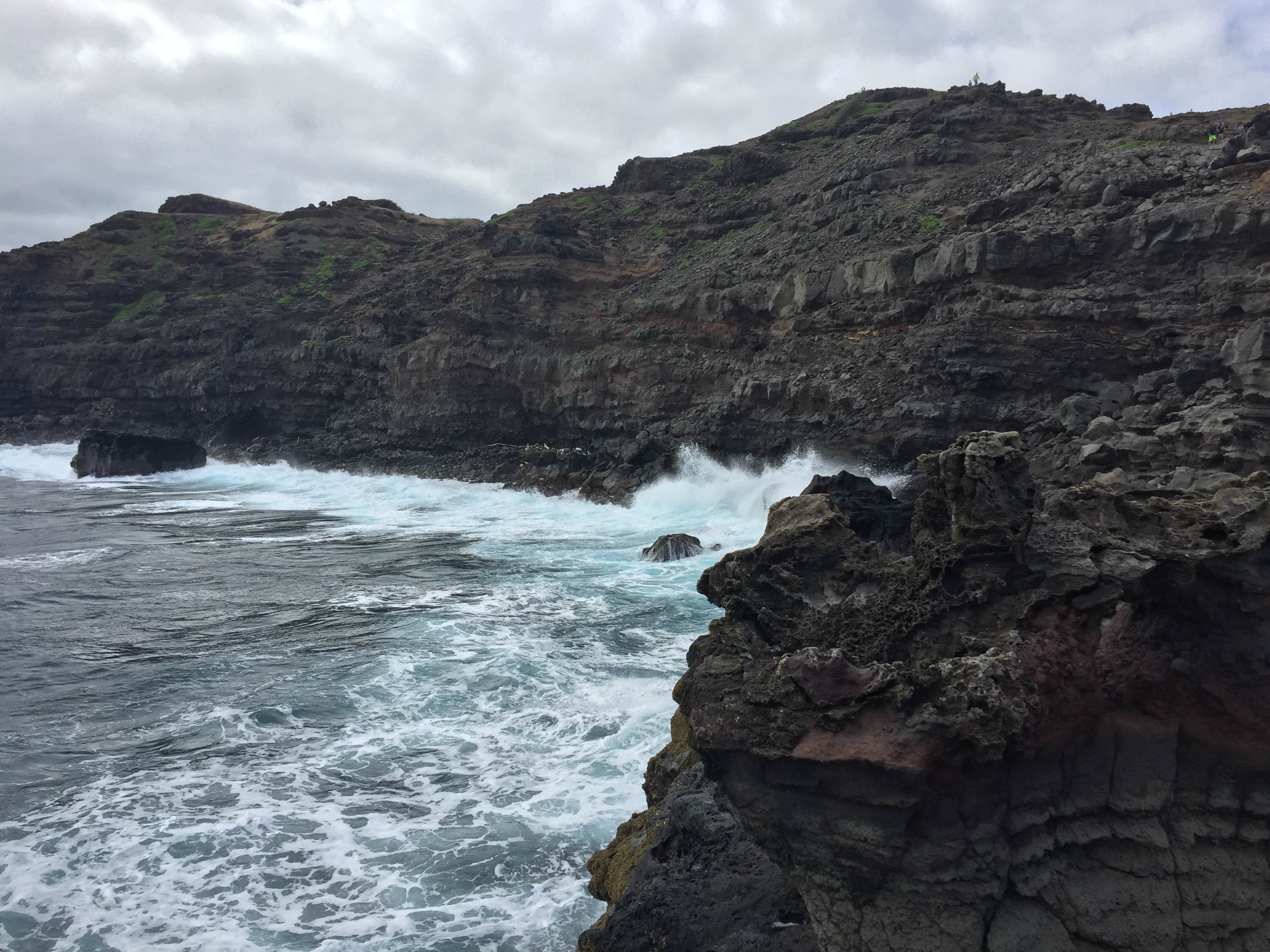 Camper-submitted photo at Spencer Beach Park near Pu'u O Umi Natural Area Reserve