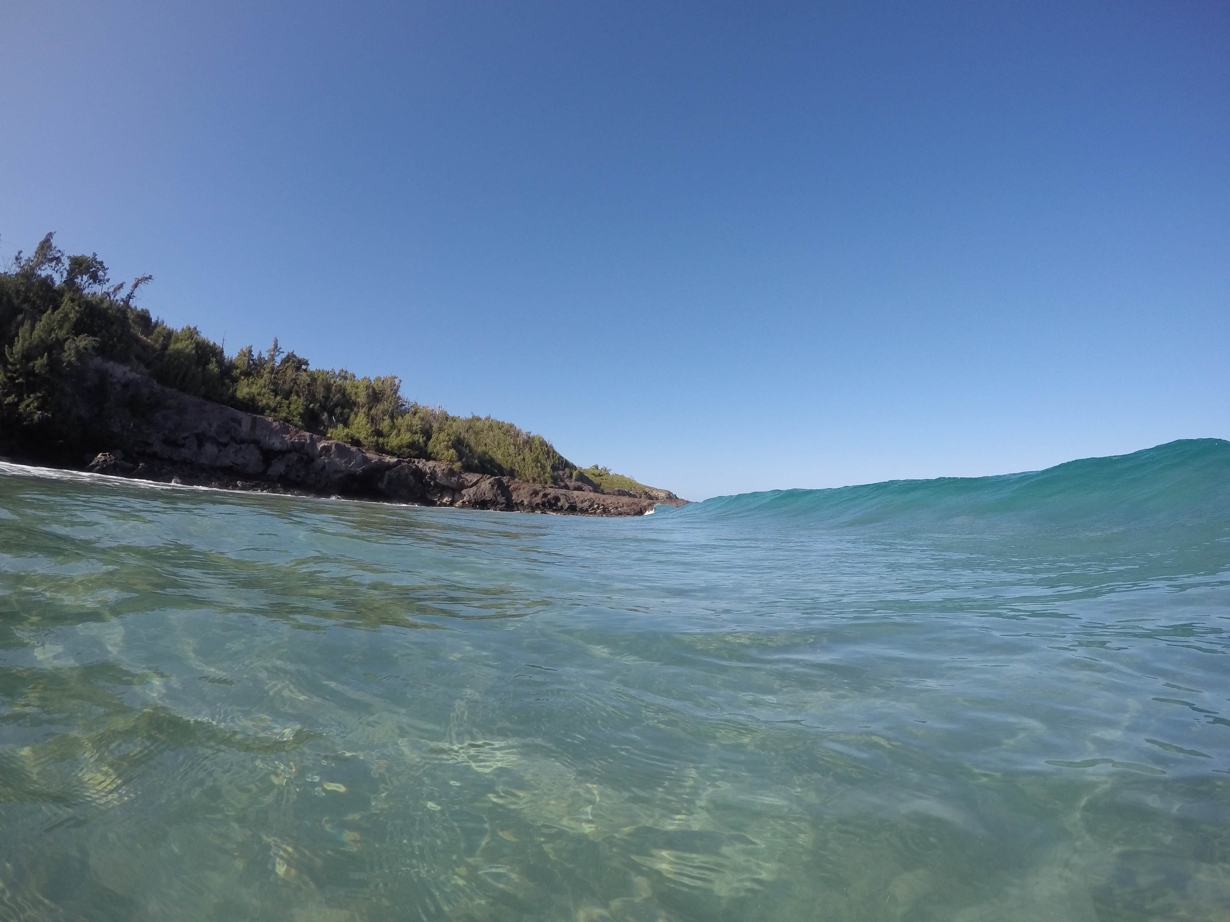 Camper-submitted photo at Spencer Beach Park near Pu'u O Umi Natural Area Reserve