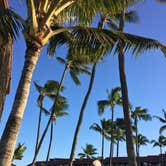 Review photo of Laupahoehoe Point Beach Park by Sasha W., July 26, 2018