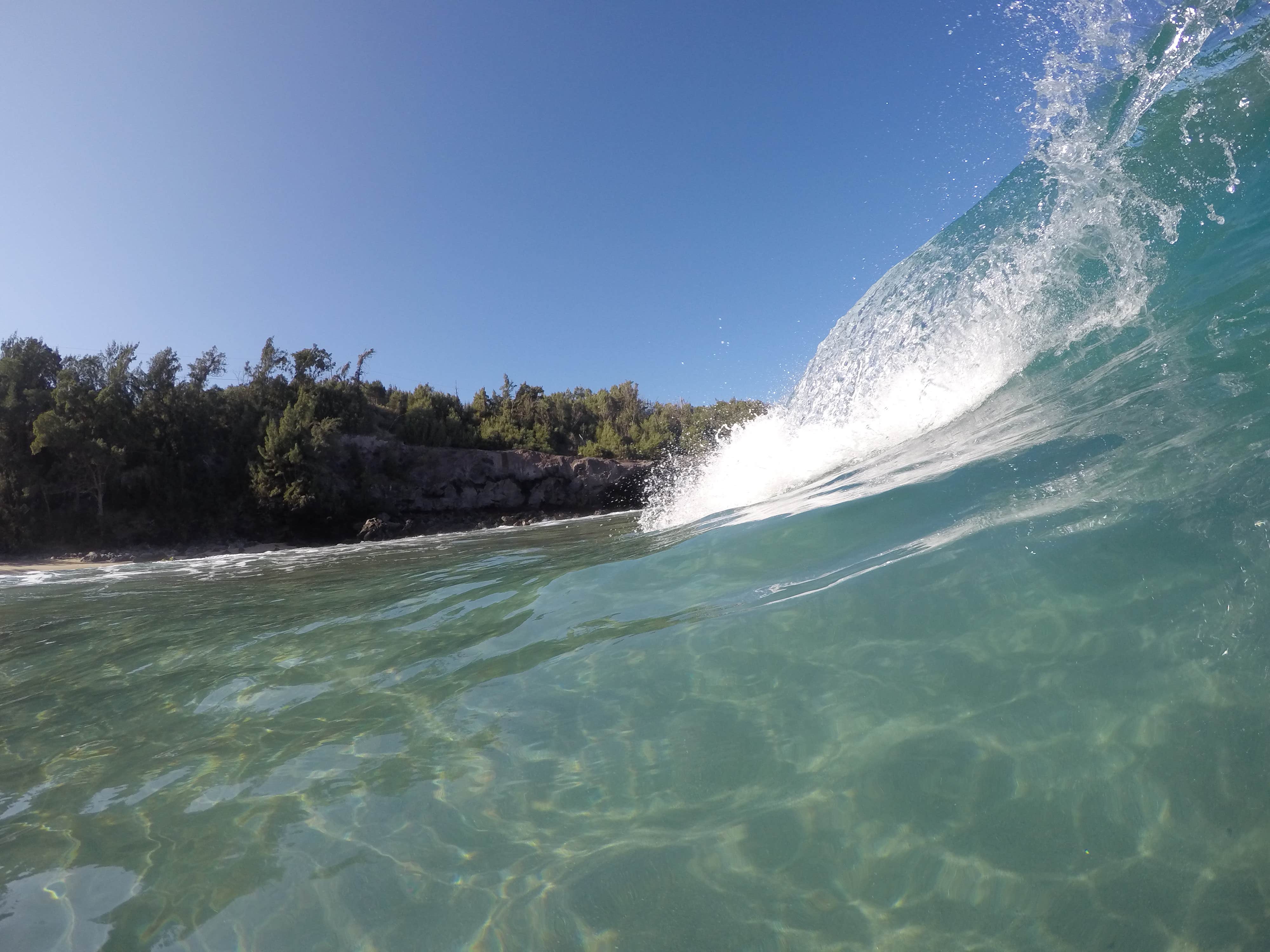 Camper-submitted photo at Laupahoehoe Point Beach Park near Pu'u O Umi Natural Area Reserve
