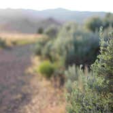 Review photo of Painted Hills Dispersed by Eva W., June 19, 2015