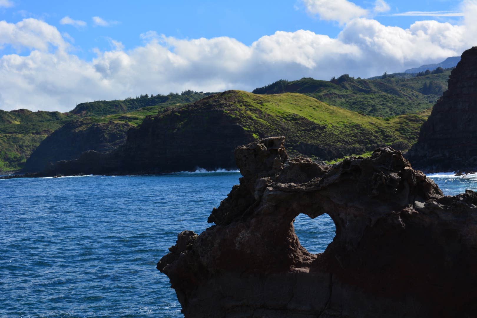 Camper-submitted photo at Laupahoehoe Point Beach Park near Pu'u O Umi Natural Area Reserve