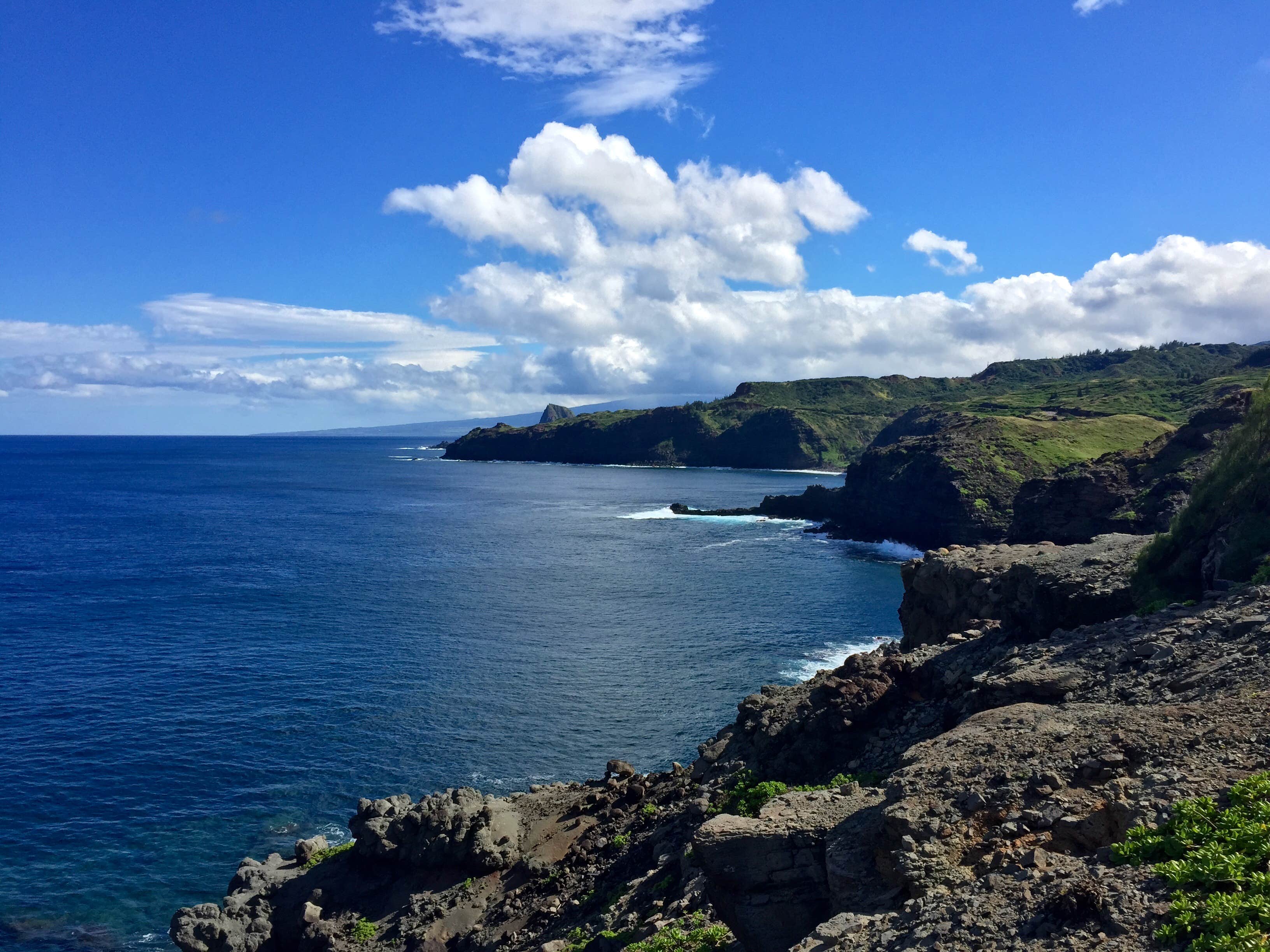 Camper-submitted photo at Laupahoehoe Point Beach Park near Pu'u O Umi Natural Area Reserve