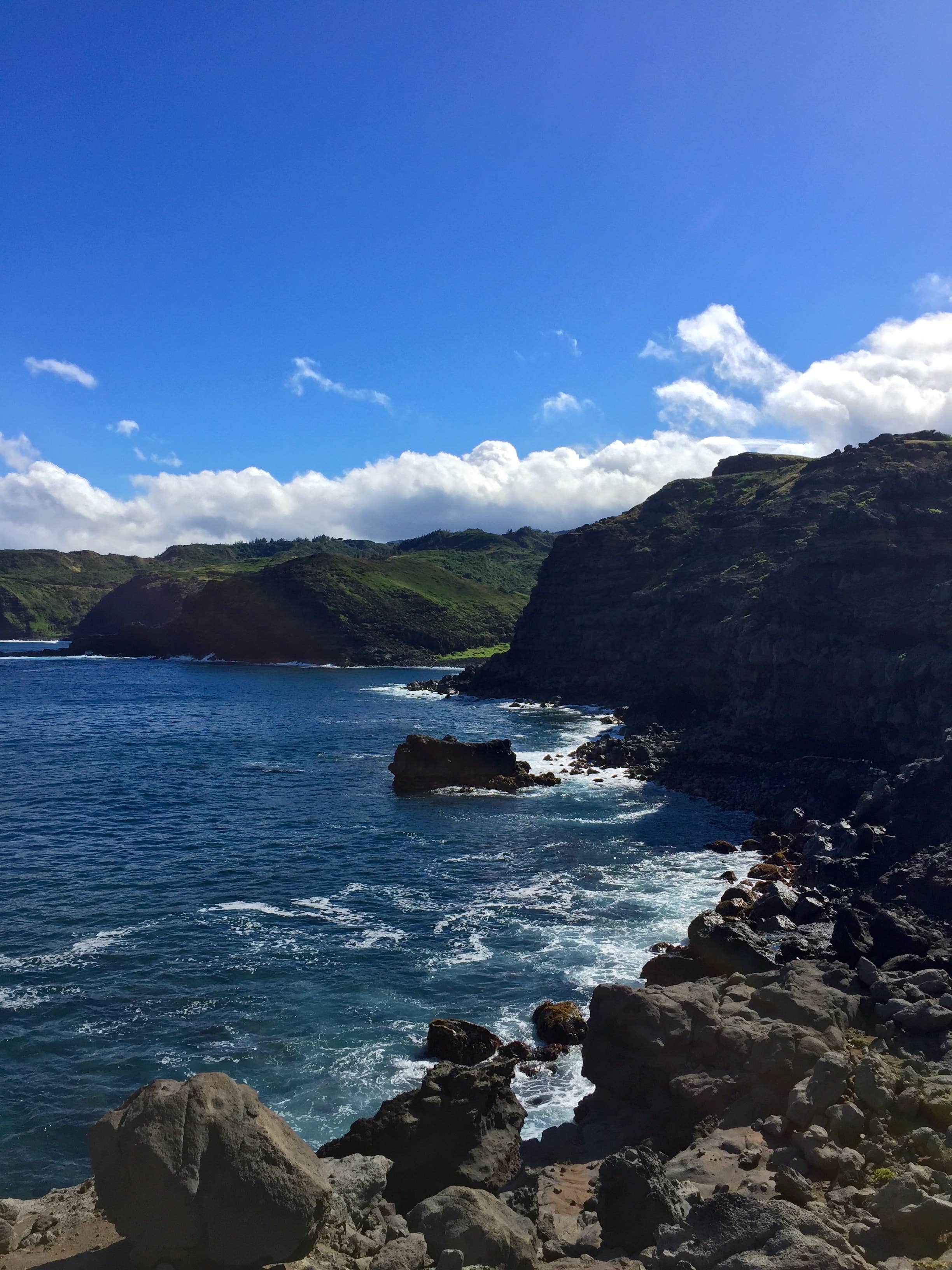 Camper submitted image from Laupahoehoe Point Beach Park - 1