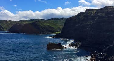Laupahoehoe Point Beach Park