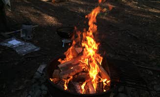 Sasha W.'s photo at Sunrise of Washington near Coupeville, WA