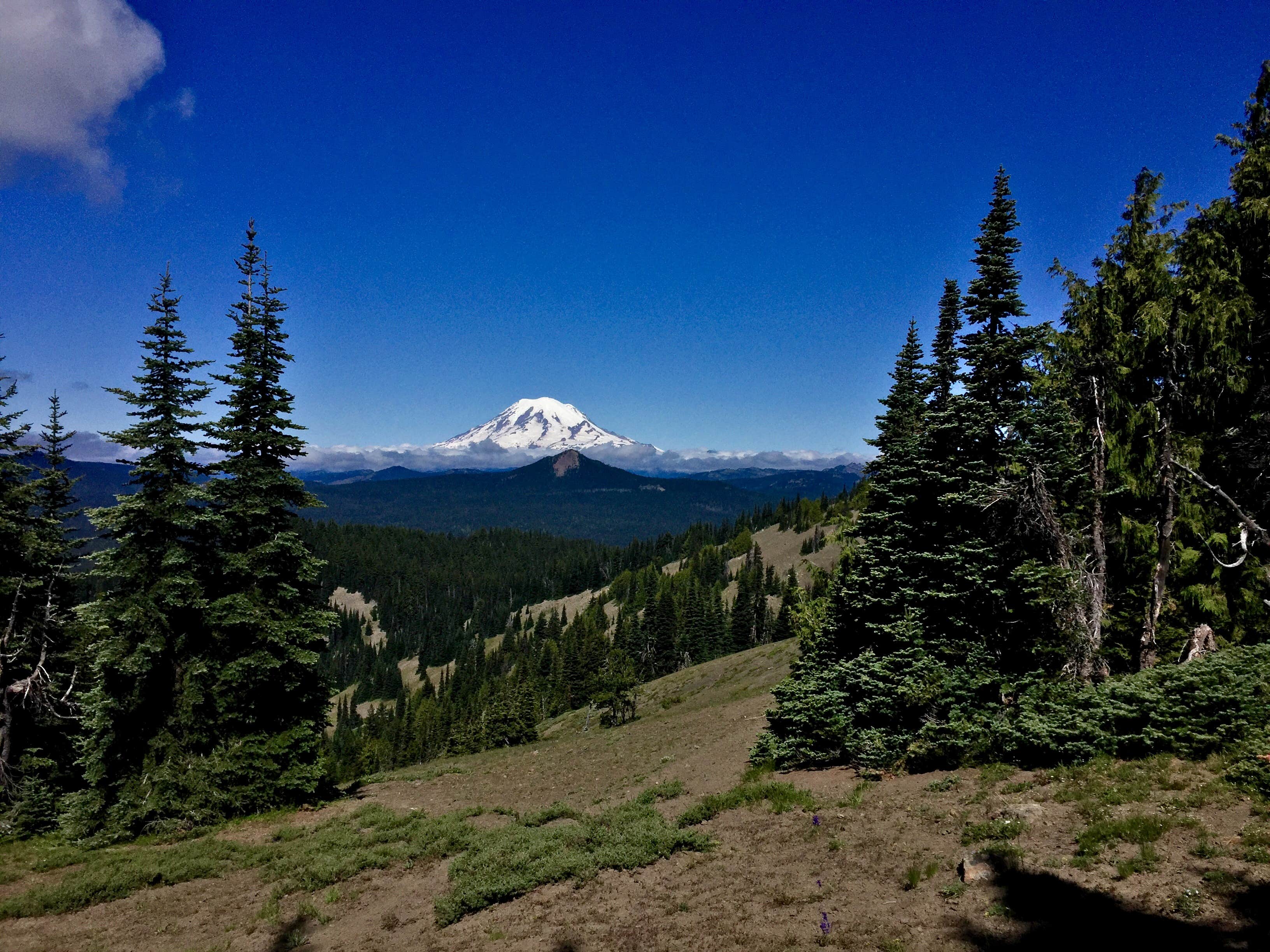 Mt. Rainier