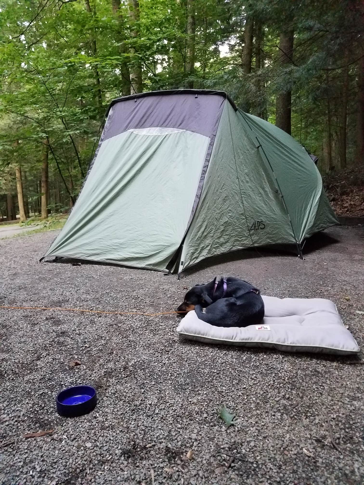 Camper submitted image from Hurricane Campground - 5