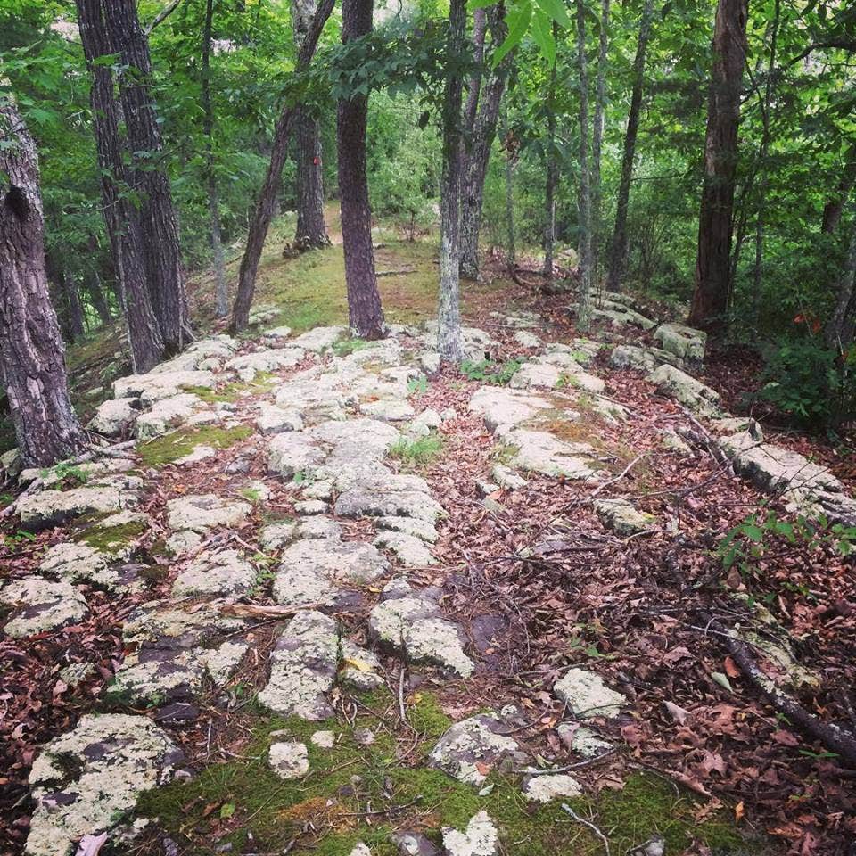 Camper submitted image from Meador Campground — Bluestone Lake State Park - 2